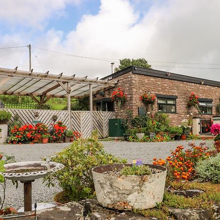 Ffynnonlwyd Cottage Llangynin Esterno foto