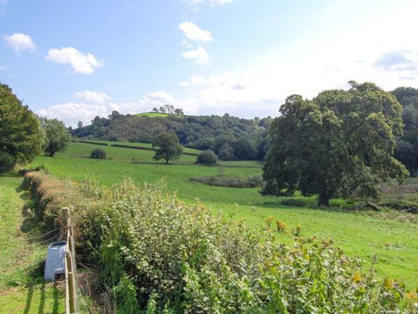 Ffynnonlwyd Cottage Llangynin Esterno foto